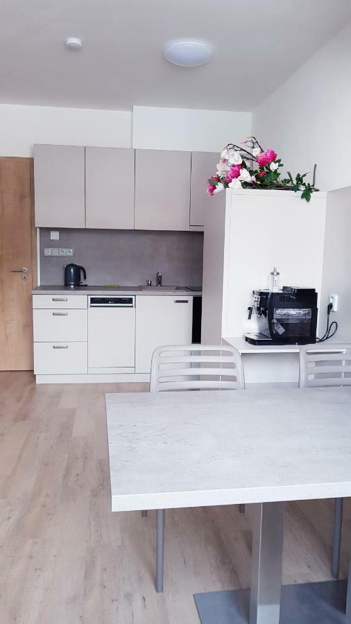 Apartmany Dolní Morava מראה חיצוני תמונה