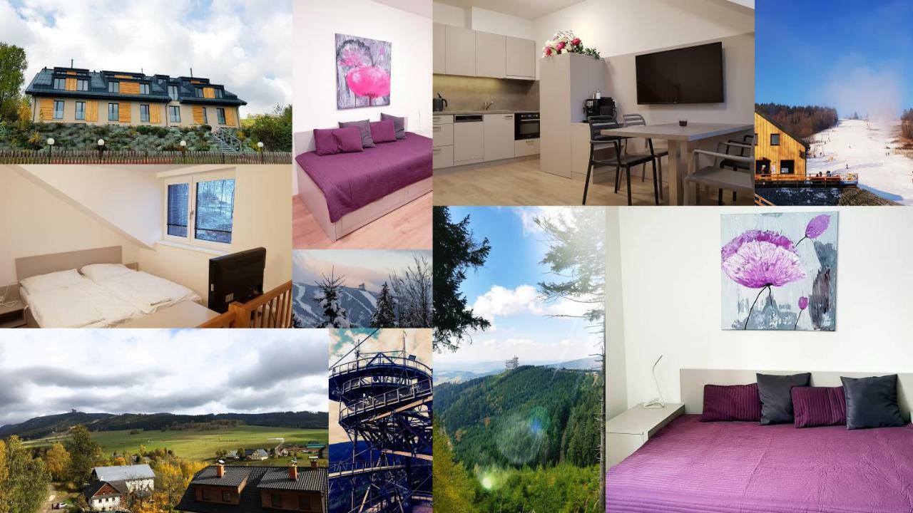 Apartmany Dolní Morava מראה חיצוני תמונה